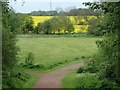 Footpath, Peter Fidler reserve