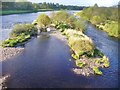 NJ9203 : Aberdeen - River Dee by Colin Smith