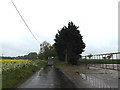 TM4494 : Waterheath Road, Waterheath, Aldeby by Geographer