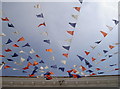 Putting the bunting out