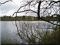 Loch of Lintrathen