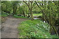 Leeds Country Way in Nan Whins Wood