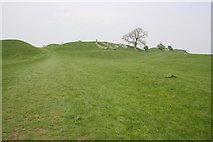 SK7611 : Approaching the hill fort in Burrough Hill Country Park by Roger Templeman