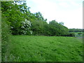 View from footpath near Furnace House Farm