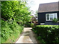 Path past Swale Cottage at Old Swaylands