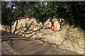 Postbox, St Agnes Avenue, Knowle