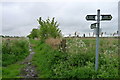 Viking Way alongside the Marston sewage Works reed beds