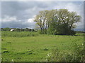 View towards Haltemprice Crematorium