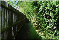 Footpath, Marlpit Hill