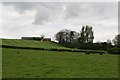 High Farm and Lincoln Red Cattle from Clay Lane