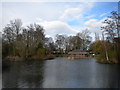 Duck pond, Arnot Hill Park