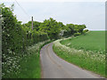 Lane to Ducks Hall, Cavendish