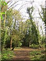 Severn Way, Penpole Wood