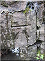 Ordnance Survey Cut Mark