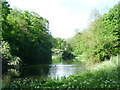 Looking along the lake in Manor Park Country Park