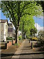 Falkland Road, Torquay