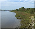 SD3641 : River Wyre bank by JThomas