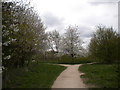 Fork in the path, Rushcliffe Country Park