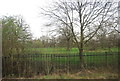 Tooting Bec Common