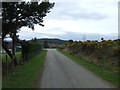 Single track road, Rearquhar