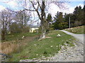 Blaen-y-cwm Cottage beside Glyndwr