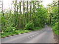 To Cawston on the B1145 road