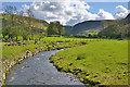 The Afon Twymyn near Pentre Cilcwm