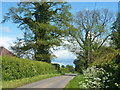 Lane near Bean Cottages