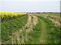 Footpath to Sandilands