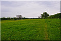 SO8854 : Worcester : Grassy Field by Lewis Clarke