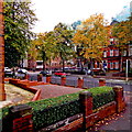 Belfast - Residential area at Corner of Chlorine Gardens & Malone Road