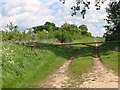 TM1684 : Farm track off Patten Lane by Evelyn Simak