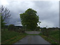 Farm track off the A9, Glenmorangie