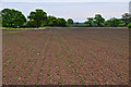 SO8955 : Wychavon : Ploughed Field by Lewis Clarke