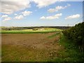 View towards Beckley Farm