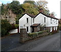 Cliff behind Grove Cottage, Frenchay