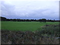 Farmland off Amounderness Way