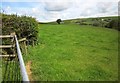 Field near Keason