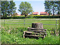 Pastures beside Chapel Lane