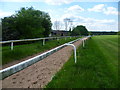 Horse ride near Epsom Racecourse