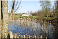 Small pond by the Grand Union Canal