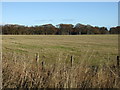 Stubble field towards woodland