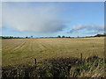 Stubble field west of the B999