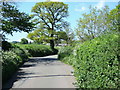 Cullompton: Colebrooke Lane