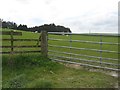 Gate and grazing animals beyond