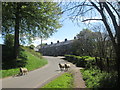 Approaching Mill Cottages