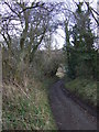 Track towards North Skelton