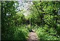 Footpath to Skeynes Park