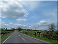 SK7786 : The A620 Gainsborough Road near North Wheatley by Steve  Fareham
