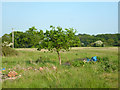 Field east of Furzeley Road